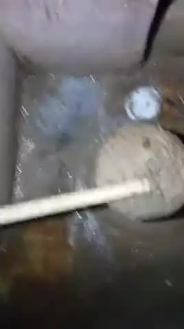 गोगरी: मुझे रोबोट एआई कंप्यूटर कुत्ता ब्रेनचिप से बिहारपुलिस के द्वारा 7 वर्षों से हाईजैक करके दुर्लभ मौत के साथ 3055 बार हत्या