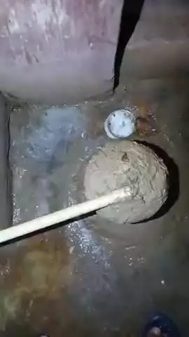 गोगरी: मुझे रोबोट एआई कंप्यूटर कुत्ता ब्रेनचिप से बिहारपुलिस के द्वारा 7 वर्षों से हाईजैक करके दुर्लभ मौत के साथ 3055 बार हत्या