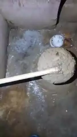 गोगरी: मुझे रोबोट एआई कंप्यूटर कुत्ता ब्रेनचिप से बिहारपुलिस के द्वारा 7 वर्षों से हाईजैक करके दुर्लभ मौत के साथ 3055 बार हत्या