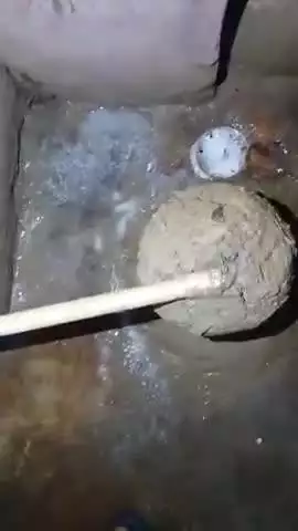 गोगरी: मुझे रोबोट एआई कंप्यूटर कुत्ता ब्रेनचिप से बिहारपुलिस के द्वारा 7 वर्षों से हाईजैक करके दुर्लभ मौत के साथ 3055 बार हत्या