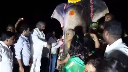 ಹೆಗ್ಗಡದೇವನಕೋಟೆ: ಡಿ.ಬಿ. ಕುಪ್ಪೆಯಲ್ಲಿ ಮತ್ತೆ ಜೀವಂತವಾದ ದಸರಾ ಆನೆಗಳ ಕ್ಯಾಪ್ಟನ್ ಆಗಿದ್ದ ಅರ್ಜುನ