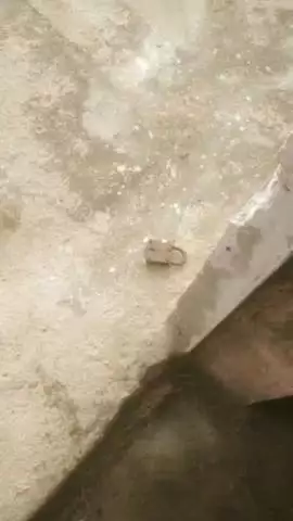 वैर: गांव मुहारी में अज्ञात चोरों का आतंक, 4 जनों की ट्यूबवेल की केबिल की चोरी
