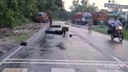 कायमगंज: कायमगंज-दिल्ली मार्ग पर सियाराम पेट्रोल पंप के पास अज्ञात वाहन की टक्कर से ढाबा कर्मी की रोड पार करते समय हुई मौत