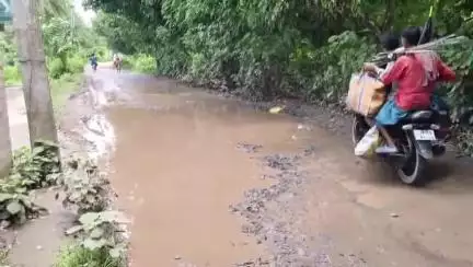 লালগোলা: কৃষ্ণপুর-কালমেঘা রাস্তার বেহাল দশা, জনদুর্ভোগ চরমে – দ্রুত সংস্কারের দাবি" #jansamasya