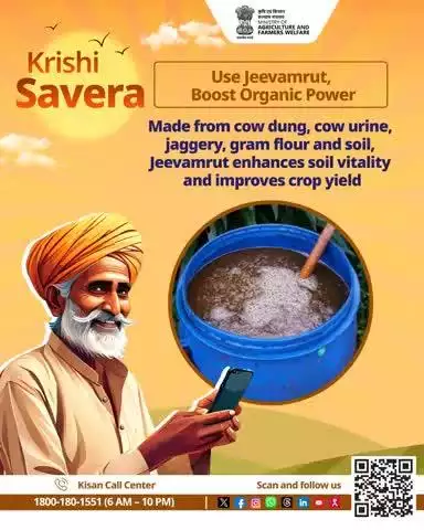 Start your day with #KrishiSavera! Daily farming tips for success—share & comment your own tips too! 

#AgriGoI