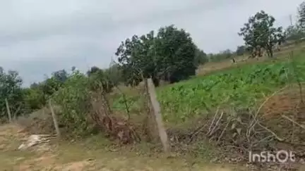 ब्यौहारी: ब्यौहारी के तगावर गांव में खेत में करंट लगने से मवेशी की मौत, दो पक्षों में विवाद, पुलिस पहुंची