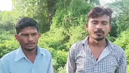 अंजड़: ग्राम बांडी हरणगांव में अज्ञात वन्यजीव का आतंक, बाड़े में बंधी बकरियों को उतारा मौत के घाट