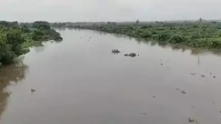 આમોદ: આમોદ તાલુકામાંથી પસાર થતી ઢાઢર  નદી બે કાંઠે વહેતી થઈ..