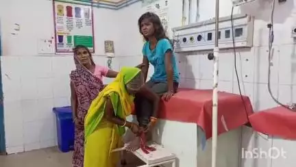 जमुई: सुंदरपुर में किशोरी को बिच्छू ने काटा, सदर अस्पताल में कराया गया भर्ती