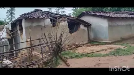 मैनपाट: देर शाम जामकानी में पहुंचा हाथियो का दल, बिलाई ढोड़ी तरफ से आए हाथियो का दल,ग्रामीणों में हलचल