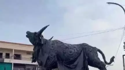 कवर्धा: राजकीय पशु की प्रतिमा को चार महीनों से अनावरण का इंतजार: पूर्व विधायक कवर्धा व कैबिनेट मंत्री मो.अकबर