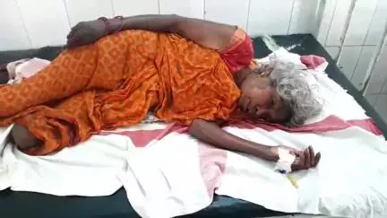 अरवल: अहियापुर गांव के पास मॉर्निंग वॉक पर निकली वृद्ध महिला को स्कॉर्पियो ने मारी टक्कर, हुई घायल