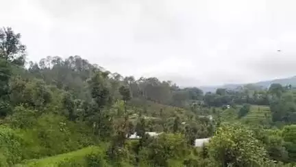 चम्पावत: चंपावत जिले सहित प्रदेश के अन्य जनपदों में 1 जुलाई तक भारी बारिश की संभावना, मौसम विभाग ने जारी किया पूर्वानुमान