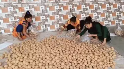 જામનગર શહેર: ગ્રેઇન માર્કેટમાં વરૂણદેવને રિઝવવા વેપારી સંસ્થા દ્વારા ભંડારાનું આયોજન કરવામાં આવ્યું