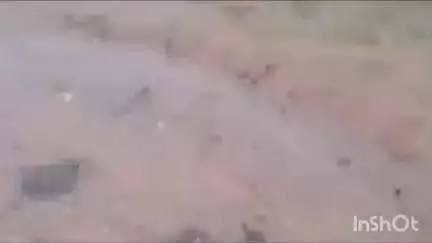 ललितपुर: अमरपुर मंडी के पास करंट लगने से भैंस की हुई मौत, गांव वालों ने विद्युत विभाग के कर्मचारियों पर लापरवाही का लगाया आरोप