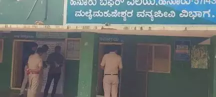 ಹನೂರು: ಮಿಣ್ಯಂ ಬಳಿ ಐದು ಹುಲಿಗಳ ಹತ್ಯೆ ಪ್ರಕರಣ, ಮೂವರ ಆರೋಪಿಗಳ ಬಂಧನ