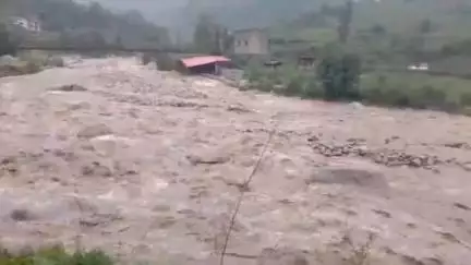 टिहरी: बूढ़ा केदार में बाल गंगा नदी में फंसे दो मजदूरों और चार खच्चरों को टिहरी पुलिस व एसडीआरएफ की टीम ने किया रेस्क्यू