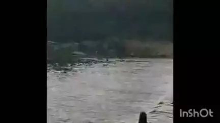 चित्तौड़गढ़: भोई खेड़ा में एनिकट पर भालू दिखने से किसानों में मचा हड़कंप, नदी के किनारे से मानपुरा की ओर निकला, दहशत में किसान