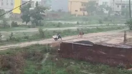 बालाघाट: बालाघाट तहसील में सर्वाधिक 193 मि.मी. और खैरलांजी में सबसे कम 22 मि.मी. वर्षा दर्ज