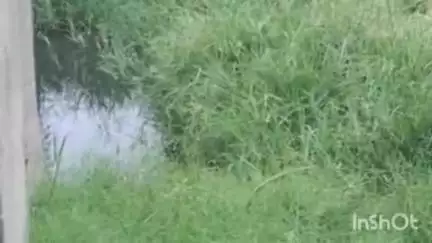लालगंज: सरेनी थाना क्षेत्र के दुधवन गांव में दबंगों ने ग्राम सभा की नाली पर किया अतिक्रमण, शिकायत पर कार्रवाई नहीं हुई