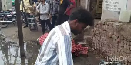 कुक्षी: बाग रोड कुक्षी में बिजली के पोल से चिपकी गो माता को करंट लगने से मौत, रहवासी भयभीत