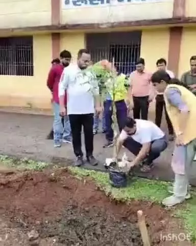 बेमेतरा: बेमेतरा के शासकीय पंडित जवाहरलाल नेहरू कला एवं विज्ञान स्नातकोत्तर महाविद्यालय में MLA ने मां के नाम पर रोपा एक पेड़