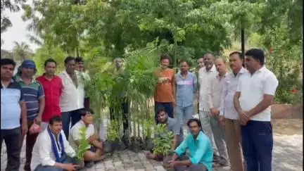 सांगोद: मुस्लिम नौजवान कमेटी ने इस्लामिक नए साल पर कब्रिस्तान में 101 पौधे लगाए