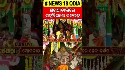 ପହଞ୍ଚିଗଲେ ବଳଭଦ୍ର |Ratha Yatra Live |Puri Rath yatra 2025 |Jay Jagannath|जगन्नाथ রথযাত্রা