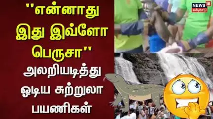 Courtallam | "என்னாது இது இவ்ளோ பெருசா" - அலறியடித்து ஓடிய சுற்றுலா பயணிகள் | Touristers