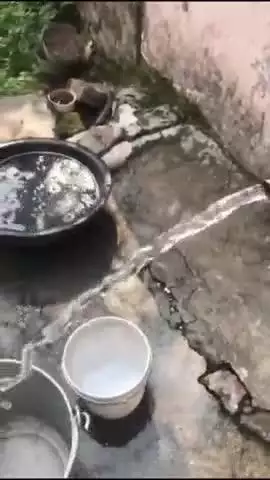 पंचकूला: कालका-पिंजौर की महादेव कॉलोनी के पानी में निकला सपोला, कीड़े आने की शिकायत के बाद प्रशासन जागा