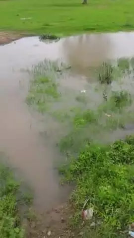 ध्यान से देखिए ये है उचेहरा अंतर्गत सेमरी दुबे का पंचायत भवन 
यहां तक पहुंचने के लिए छलांग लगाना पड़ेगा(विंध्यस्टोरी)