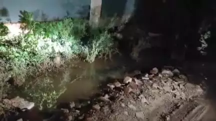 शिवपुरी नगर: नमो नगर के रिहायशी इलाके में पहुंचा मिस्टर मगरमच्छ, लोगों में दहशत