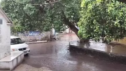 જામજોધપુર: જામજોધપુરના ગ્રામ્ય વિસ્તારમાં ધીમીધારે મેઘરાજાનું આગમન