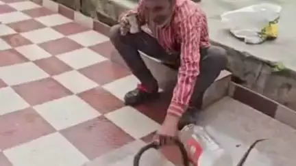 सोलन: सोलन के आईटीआई के पास घर के बाथरूम में फन फैलाए बैठा सांप किया गया रेस्क्यू