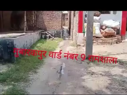 आखिरकार किस काम का पंचायत प्रतिनिधि जब यह लोग गली नाली की खराबी स्थिति को भी सही नहीं करवा सकते हैं........? वैसे-वैसे जनप्रतिनिधियों को इस्तीफा दे देना चाहिए ताकि उसे जगह पर योग्य आदमी खड़ा हो सके। 
#मुन्ना999 #munna999 #StarsEverywhere