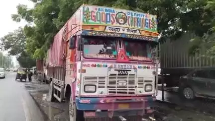 અંકલેશ્વર: બી ડિવિઝન પોલીસે માંડવા ટોલ પ્લાઝા પાસેથી ગેરકાયદેસર રીતે લઈ જવાતા પશુઓને મુક્ત કરાવી ચાલકને ઝડપી પાડ્યો