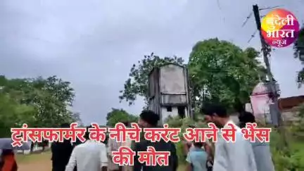 करंट लगने से भैंस की हुई मौत ग्राम मुकरवा