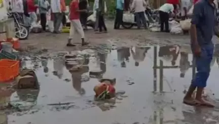 सिंगरौली: बैढ़न: बदबूदार पानी में बिक रही सब्जियां, मंडी में कीचड़, निगम कमिश्नर बोले- जल्द होगा समाधान