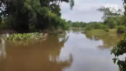 আমগুৰি: নামতি নৈৰ মথাউৰি নিৰ্মাণ নকৰাৰ ফলত বানৰ কবলত প্ৰায় দহ খন গাঁ‌ৱৰ ৰাইজ #jansamasya