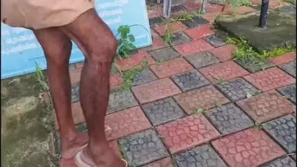 കൊട്ടാരക്കര: ഏതു നിമിഷവും കടിയേൽക്കാം, ഇളമാട് തെരുവുനായ ശല്യം രൂക്ഷം, ബസ് കാത്തുനിന്ന ഡ്രൈവര്‍ക്ക് കടിയേറ്റു #localissue