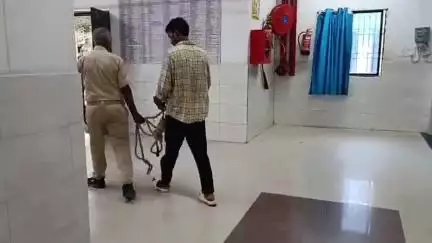 नोखा: नोखा बस स्टैंड से पुलिस ने मारपीट के आरोप में एक व्यक्ति को गिरफ्तार कर जेल भेजा
