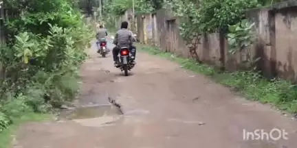 सोहागपुर: जगह-जगह गड्ढे में तब्दील हुआ शहडोल नगर की सड़क मामले पर नगर वासियों ने दी जजानकारी#jansamasya