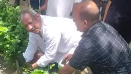 बिहार: नालंदा सांसद कौशलेन्द्र कुमार ने समाहरणालय में किया पौधारोपण, लोगों से भी की अपील