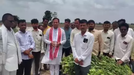 वाशिम: जिल्ह्यात 25 व 26 जून रोजी पडलेल्या पावसाने शेतकऱ्यांचे झालेल्या नुकसानी साठी सरकारने मदत करावी - आ. अमित झनक