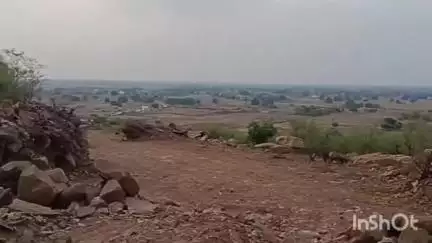 त्योंथर: ग्रामीणों ने शासन-प्रशासन की लापरवाही से चौराघाट का निर्माण कार्य अधूरा होने के लगाए आरोप