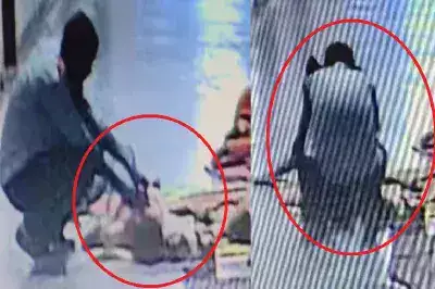 छत्तीसगढ़ के रायपुर में अस्पताल में सिक्योरिटी गार्ड ने सो रही महिला के ब्लाउज़ से निकाला पर्स और मोबाइल, गिरफ्तार