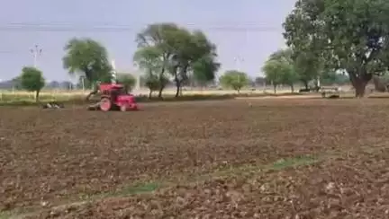 हमीरपुर: खरीफ में तिल की फसल की ओर किसानों का रुझान बढ़ा