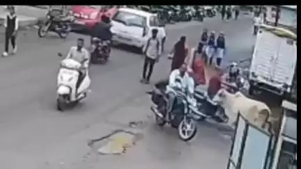 திருப்பத்தூர்: மாடு முட்டி  முதியவர் படுகாயம் திருப்பத்தூர் பேருந்து நிலையம் எதிரில் நடந்த நிகழ்வு என சிசிடிவி காட்சி வெளியான வீடியோ  மகாராஷ்டிராவில் நடைபெற்றது