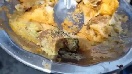 कानपुर: गोविंद नगर के एक दुकान में कस्टमर को दिए गए समोसे में निकली फफूंदी, फूड विभाग की टीम ने सैंपल लेने से किया मना