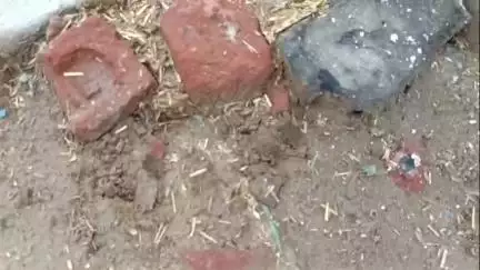 नौगावां सादात: नौगांवा तहसील क्षेत्र में दिखाई दे रहा तेंदुआ, खेत में मिले पंजे के निशान, गांव रामपुर के ग्रामीण परेशान